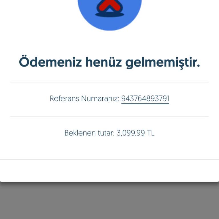 Ödeme Tamamlanmadı Hatası Ve Destek İsteği