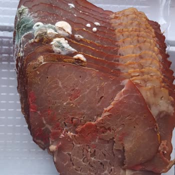 Marketten Alınan Üründe Küflenme Sorunu