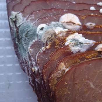 Marketten Alınan Üründe Küflenme Sorunu