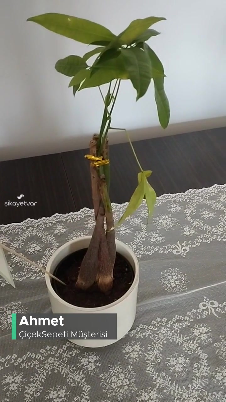 Çiçek Sepeti Böyle Bir Ürün Olamaz! videonun kapak resmi