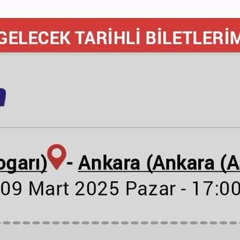 Varan Turizm'in İptal Edilen Seferi Mağduriyeti