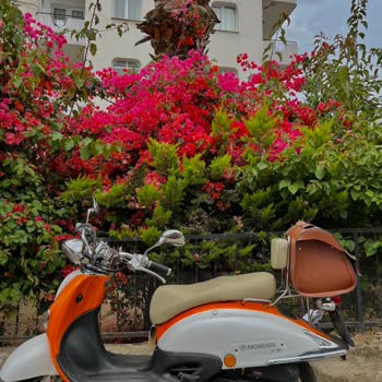 Mondial 50 ZNU EC Motor: Sorunlar Yumağı