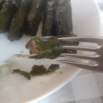 Aldığım Yapraklar Ve Tarhana Beklentilerimi Karşılamadı