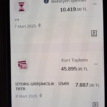 Zehirli Balık Ve Fahiş Fiyatlar: Restoranda Kabus Gecesi