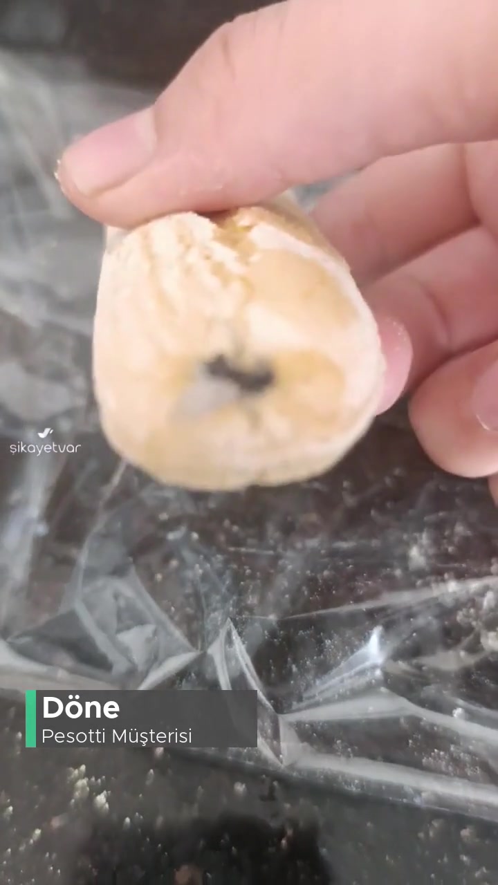 Pesotti Savoiardi Kedi Dilinin Hali! videonun kapak resmi