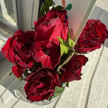 Kadınlar Günü Çiçek Teslimatında Hayal Kırıklığı