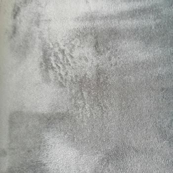 Buharlı Temizleyici Koltuklarımı Mahvetti!