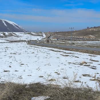 Talas Belediyesi Talas Mezarlığı'nda Güvenlik Sorunu Ve Köpek Tehdidi