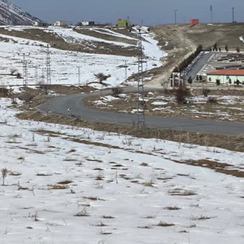 Talas Belediyesi Talas Mezarlığı'nda Güvenlik Sorunu Ve Köpek Tehdidi