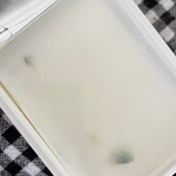 Ekici Peynir Aldığım Peynirin Kalitesi Düşmüş