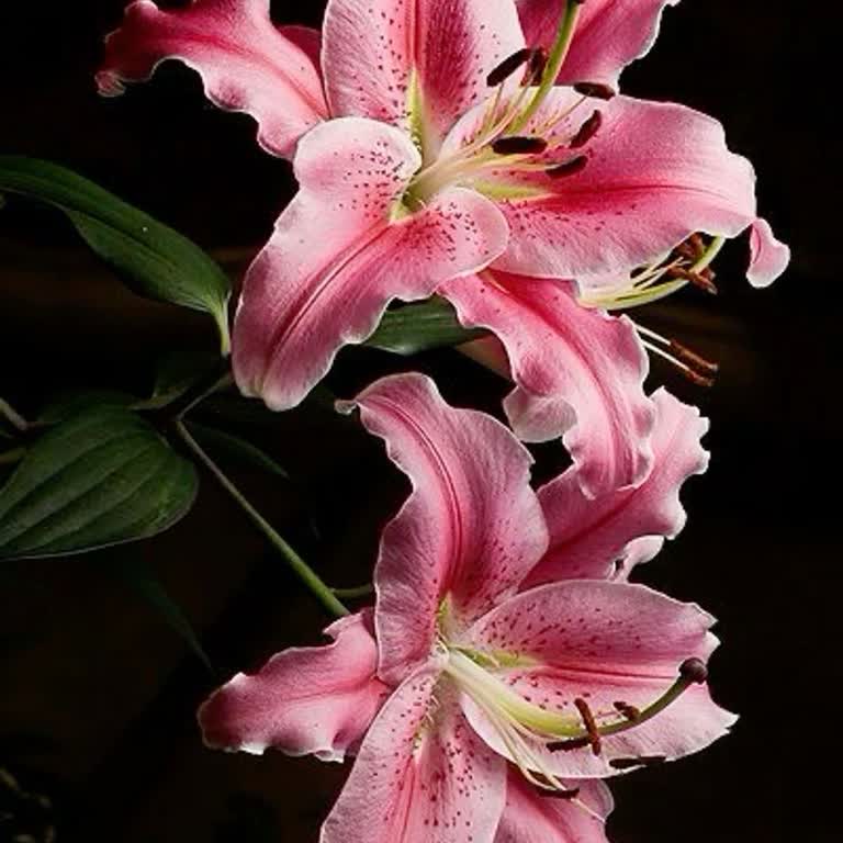 Kişiselleştirilmiş Ürün Siparişimde Güven Sorunu