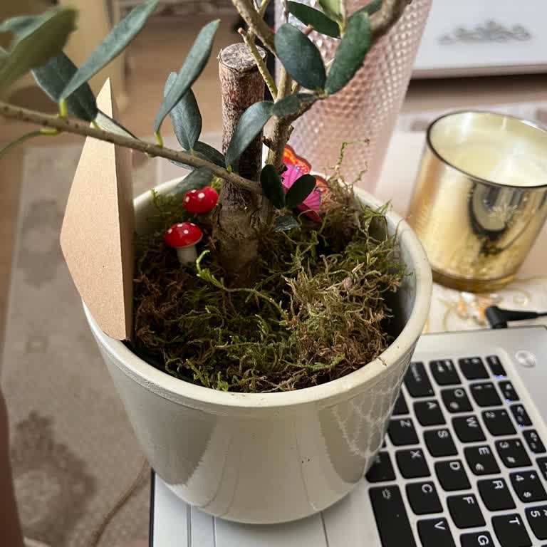 Getir'den Gelen Eksik Sipariş Ve İlgisiz Müşteri Hizmeti