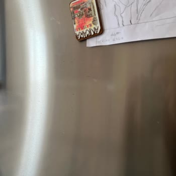 Bosch Buzdolabında Beklenmedik Paslanma Sorunu: Garanti Kapsamında Çözüm Arayışı