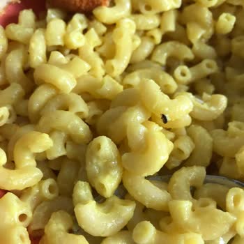 Mutlu Makarna'da Böcek Skandalı!