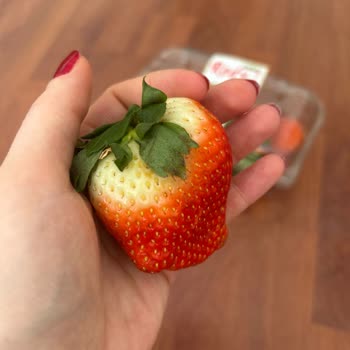 Bayat Ürün Ve İade Sorunları