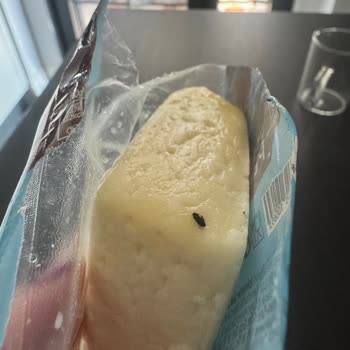 Carrefour Hellim Peynirinde Böcek Şoku!