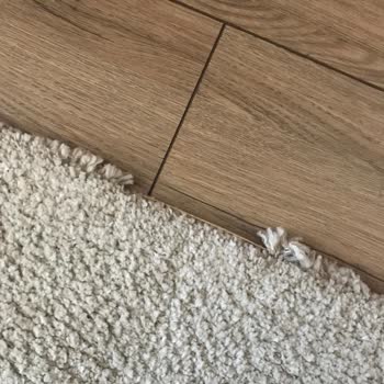 Halı Temizliğinde Büyük Hayal Kırıklığı