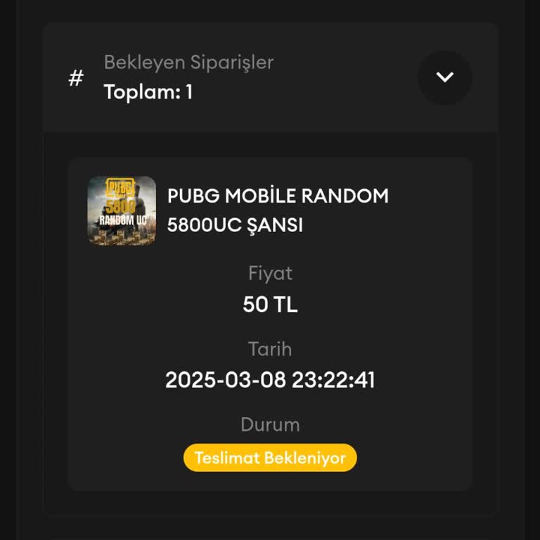 Geciken Teslimat Ve Yetersiz Destek: Gamer Ailesi'nde Yaşanan Sorunlar