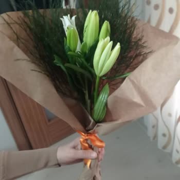 Getir'den Gelen Açmamış Lilyum Hayal Kırıklığı Yarattı