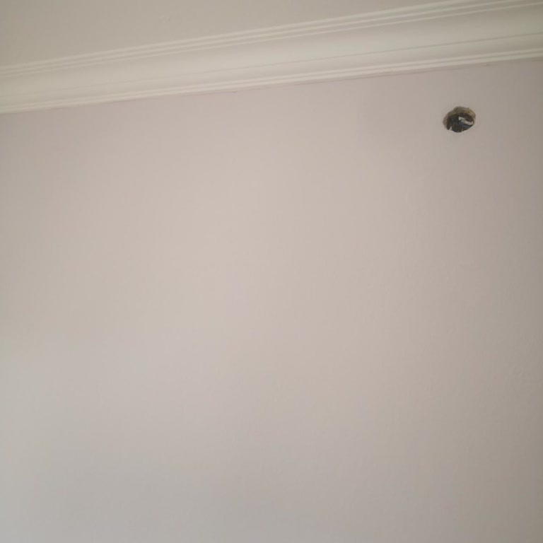 Renk Beklentisi ve Gerçeklik Arasındaki Fark