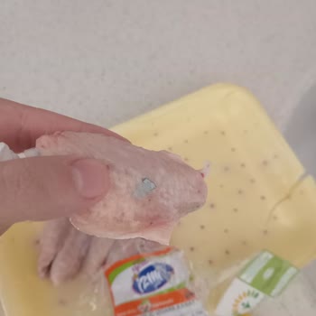 Güvenilir Markadan Beklenmedik Cam Parçası Şoku