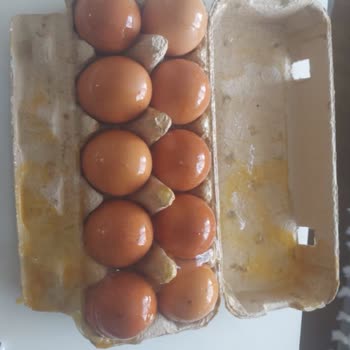 Kırık Yumurtalar Ve Hayal Kırıklığı: Kayaşehir Migros Şubesi