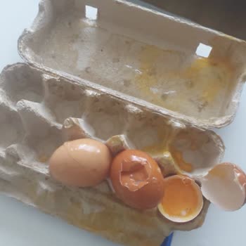 Kırık Yumurtalar Ve Hayal Kırıklığı: Kayaşehir Migros Şubesi