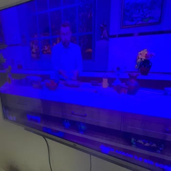 Beko TV'lerin Renk Sorunu Ve Çözüm Beklentisi