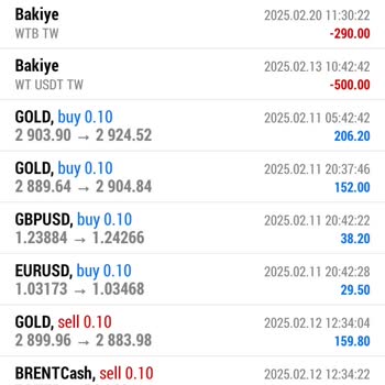 W2 Forex'te Ödeme Sorunu