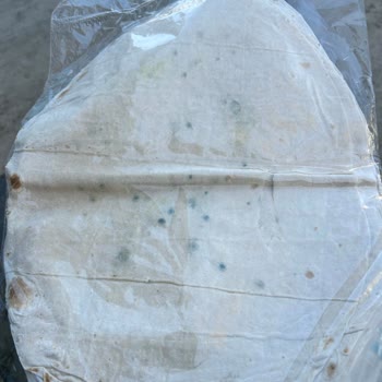 Küflü Lavaş Ve İlgisizlik