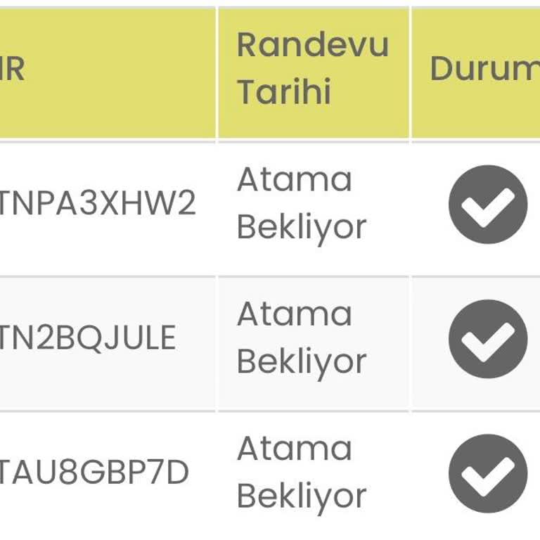 Almanya Vizesi İçin Tarih Belirsizliği Mağduriyeti