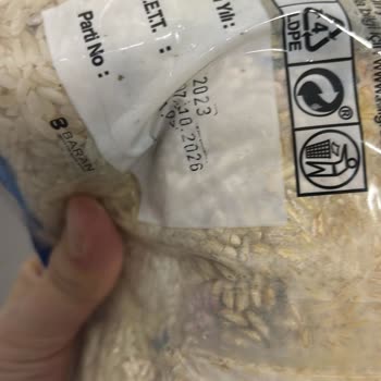 Tarihi Geçmemiş Pirinçte Böceklenme Şoku!