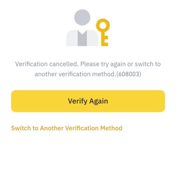 Binance Hesabına Erişim Sorunu: Şifre Doğru Ama Giriş Yapamıyorum!