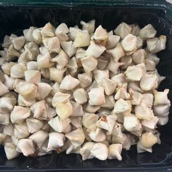 Küflü Mantı Şoku: Sağlığımız Tehlikede!