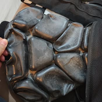 Yastıklı Seleler 8 Ayda Parçalandı