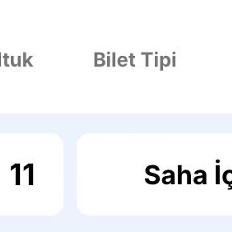 Volkswagen Arena'da Sahne Görüş Problemi