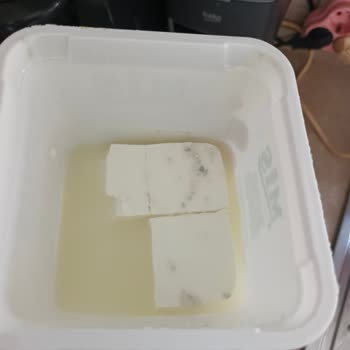 Taze Peynirin Erken Küflenmesi Ve Son Kullanma Tarihi Şüphesi