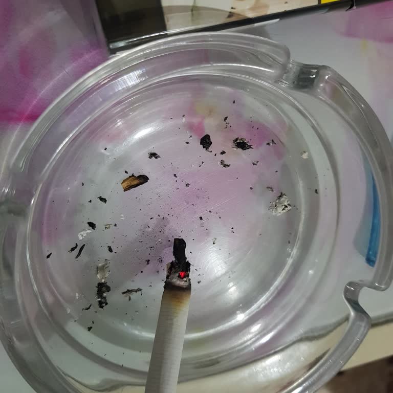 Parlamento Sigara İçindeki Odun Sorunu