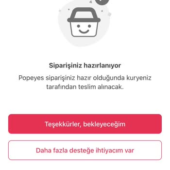 Beklenen Sipariş, Kayıp Hizmet: Popeyes Ve Yemek Sepeti'nde Hayal Kırıklığı