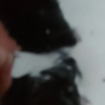 Çekiliş Kodu Eksikliği Nedeniyle Mağduriyet