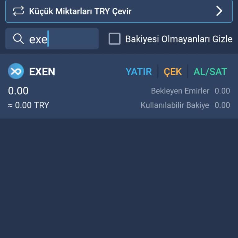 Bitexen Uygulamasında Kayıp Coinler