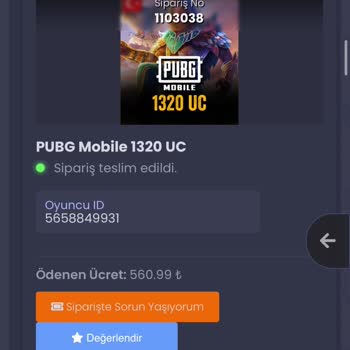 Satın Aldığım PUBG Hesabına Erişim Sorunu