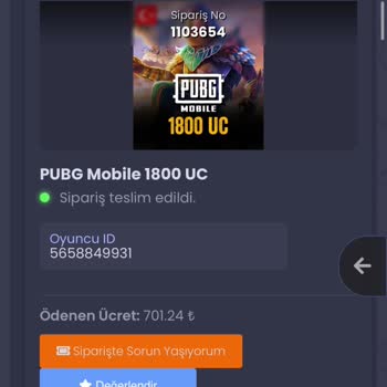 Satın Aldığım PUBG Hesabına Erişim Sorunu