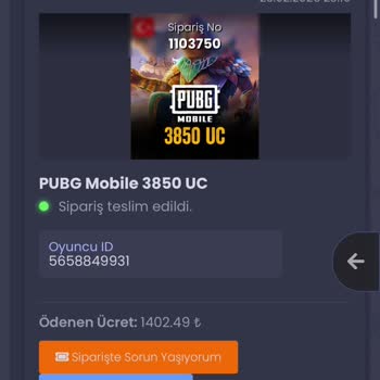Satın Aldığım PUBG Hesabına Erişim Sorunu