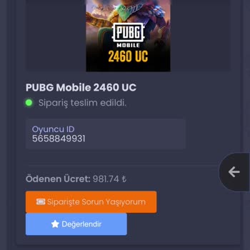 Satın Aldığım PUBG Hesabına Erişim Sorunu