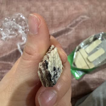 Gofrette Hijyen Sorunu: BİM'de Güven Sarsıldı