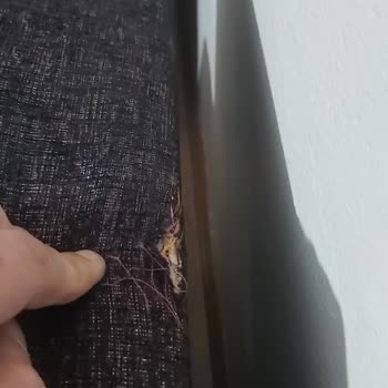 Taşıma Hizmetinde Yaşanan Sorunlar