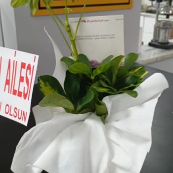 Yanlış Çiçek Gönderimi Ve İade Sorunu