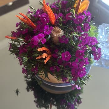 Anneme Gelen Çiçekler Tam Bir Hayal Kırıklığı