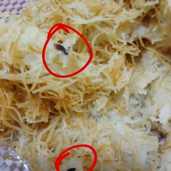 Markalı Kadayıf Ürününde Böcek Bulundu